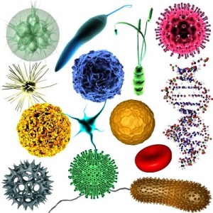 Proficiency Test for Microbiology (Uji Profisiensi Mikrobiologi)